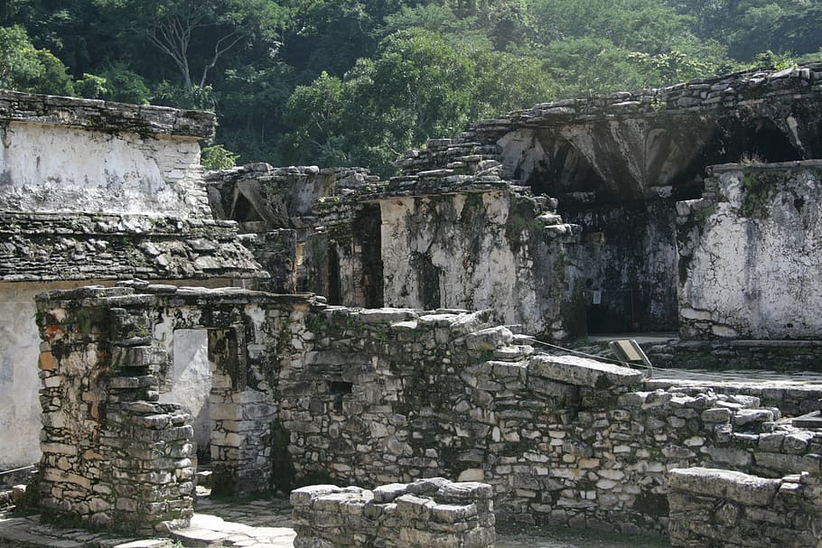 palenque, prehispanic, mayan, ruins, mexico, architecture, culture, HD wallpaper