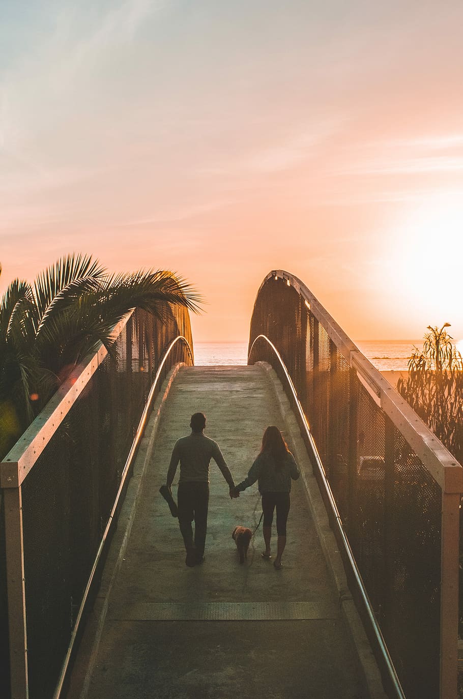 man and woman holding hand while walking on bridge, man and woman walking on brown wooden bridge near coconut tree during sunset HD wallpaper