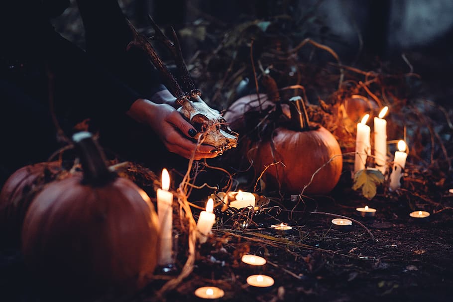 person decorating pumpkin and candles, person holding crop near pumpkin HD wallpaper