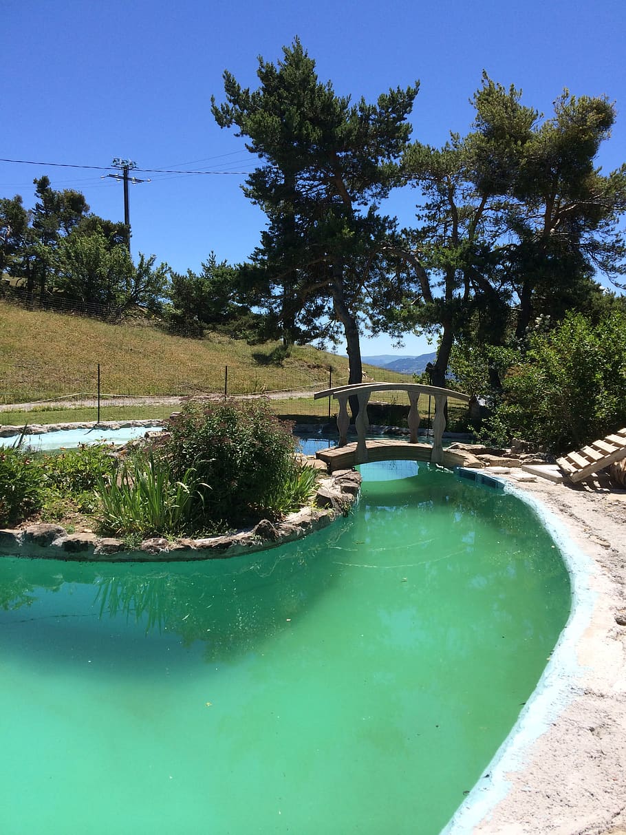 pool, blue, water, serenity, tree, plant, nature, no people HD wallpaper