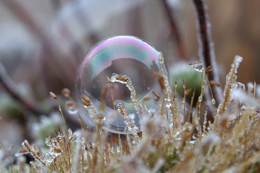 soap bubble, pattern, structure, frozen, cold, selective focus HD wallpaper