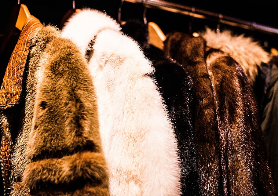 assorted mink coat, brown and white fur coats hanging on gray clothes rack