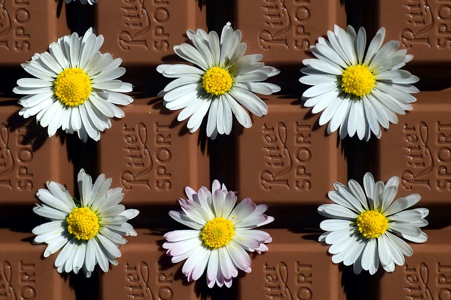 Chocolate, Benefit, Delicious, benefit from, nibble, sweet HD wallpaper