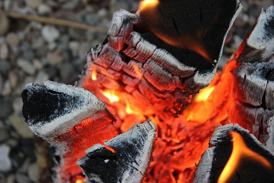 Fire, Wood, Flame, Burn, Natural, firewood, nature, heat, glowing HD wallpaper