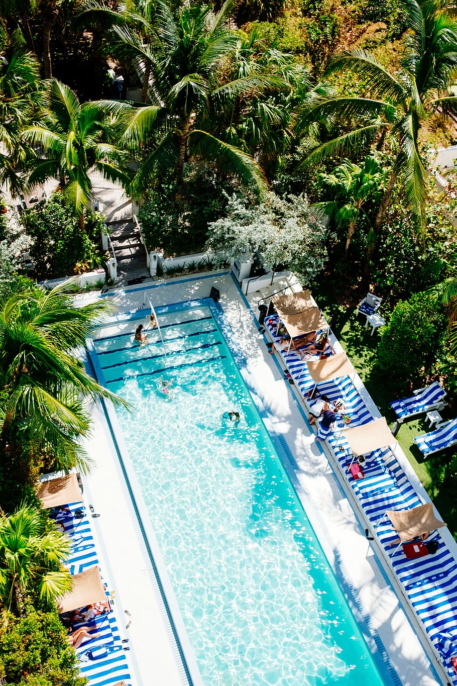 swimming pool surrounded by trees, top view photo of swimming pool with trees HD wallpaper