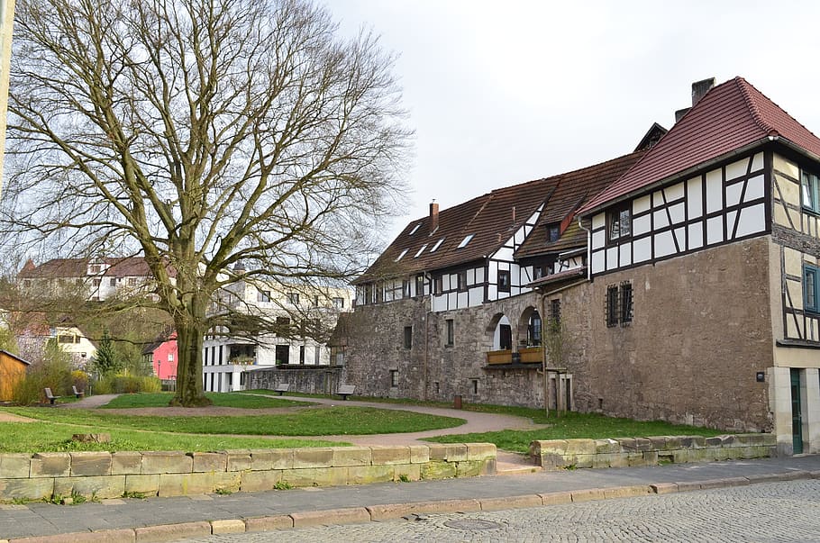 architecture, house, old, building, tree, building exterior HD wallpaper