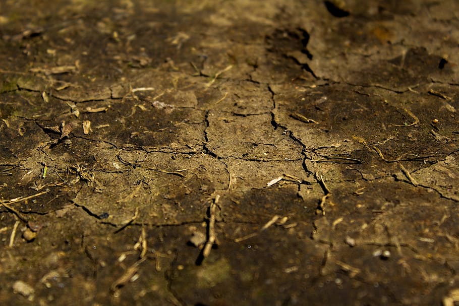 nature, environment, geology, texture, dry, soil, rough, surface HD wallpaper