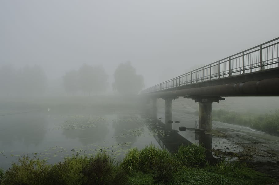 Fog, Bridge, Beach, Trees, River, autumn, dampness, railing HD wallpaper