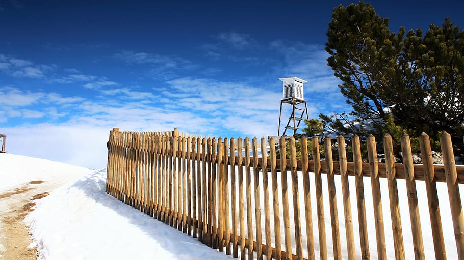 fence, perch, snow, mountain, rise, ice, winter, white, firs HD wallpaper