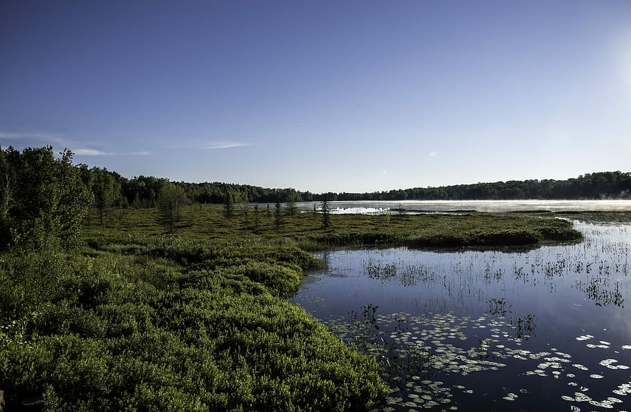 Lake and wetland area in Chequamegon National Forest, Wisconsin, HD wallpaper