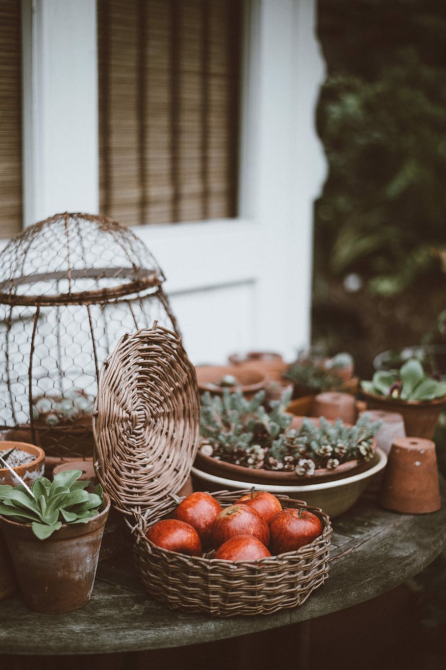 apples in basket on table beside plants, apple fruits in basket HD wallpaper