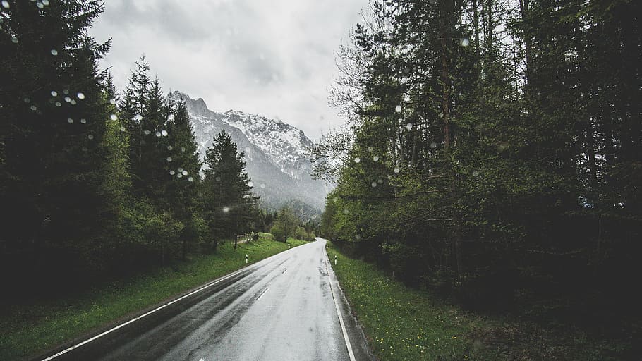 asphalt road between trees, mountain, highland, cloudy, sky HD wallpaper
