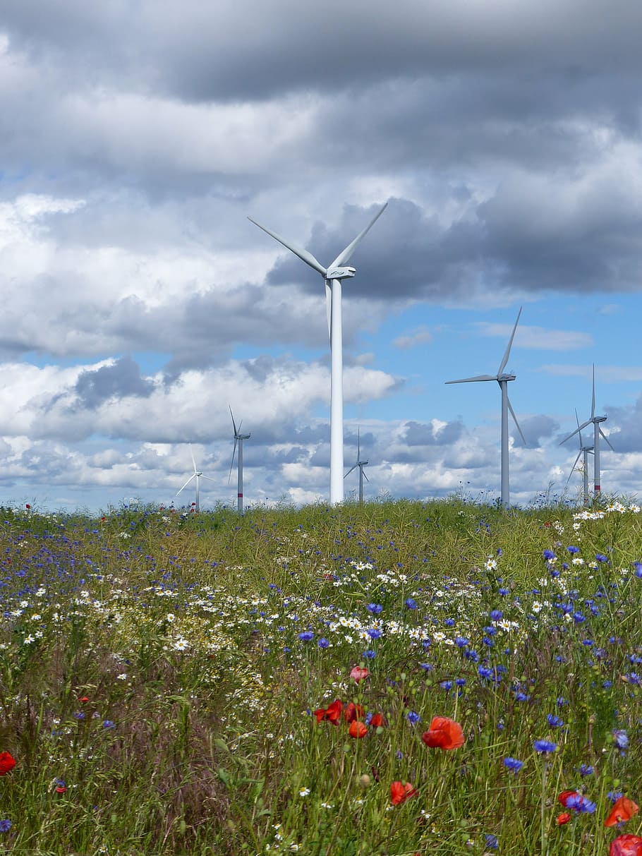 wind, energy, sky, flowers, clouds, power, environmental, renewable HD wallpaper