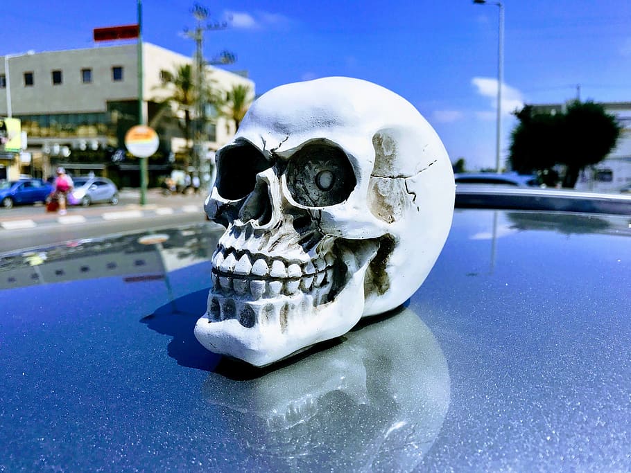 Scull, Head, Scary, Skeleton, outdoors, close-up, built structure HD wallpaper