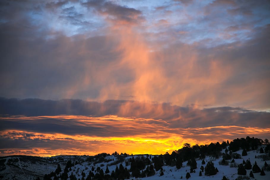 mountains during golden hour, snow, pine, tree, clouds, sky HD wallpaper