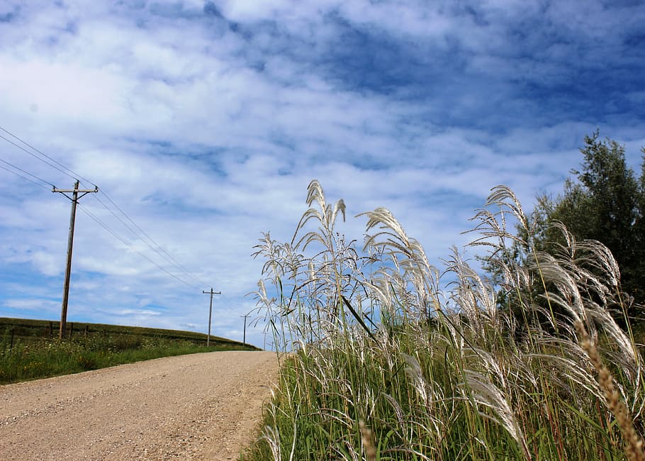 nature, grass, sky, field, landscape, outdoors, agriculture HD wallpaper
