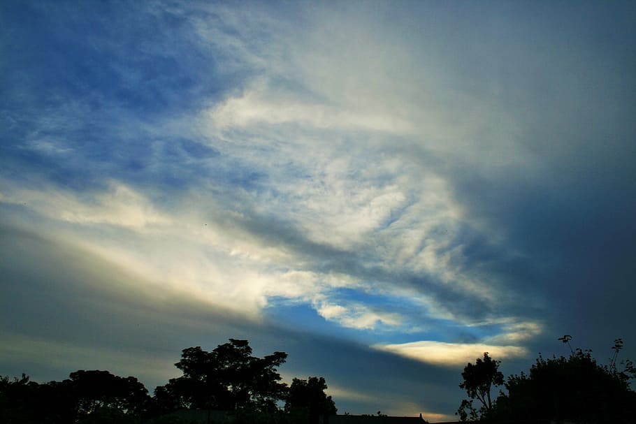 sky, blue, clouds, swept, wispy, white, cloud - sky, tree, plant HD wallpaper
