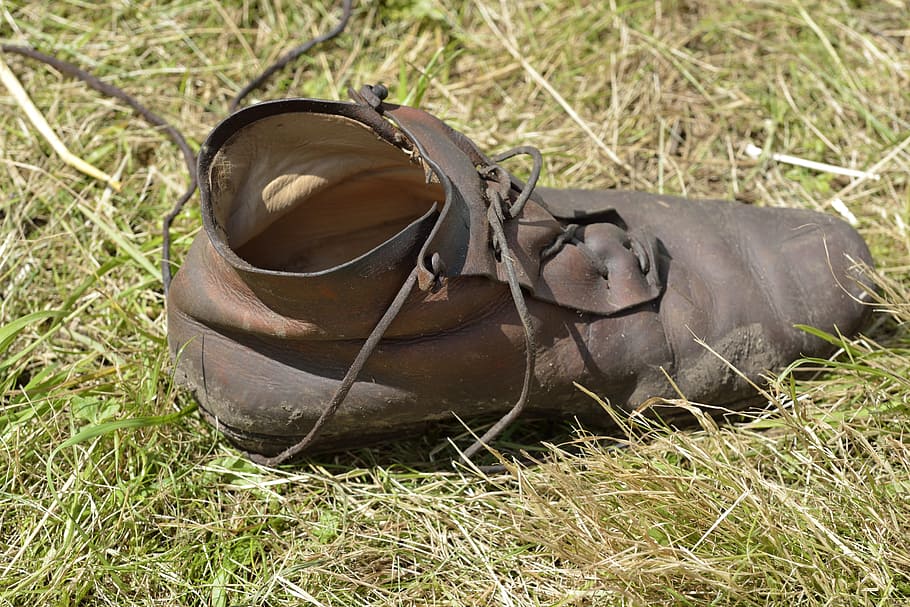 grass, nature, shoe, plant, land, field, day, no people, animal HD wallpaper