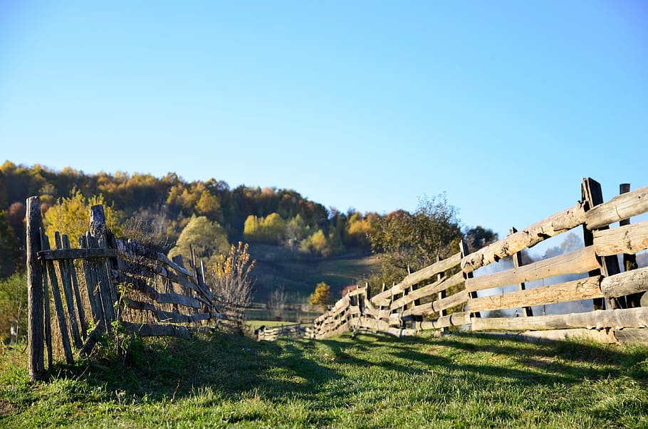 a pathway between wooden farm railings during day time, fence HD wallpaper