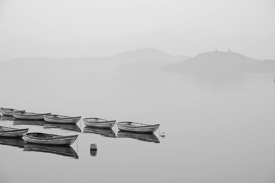 white row boats inline on body of water during foggy weather, white and black boats on body of water HD wallpaper