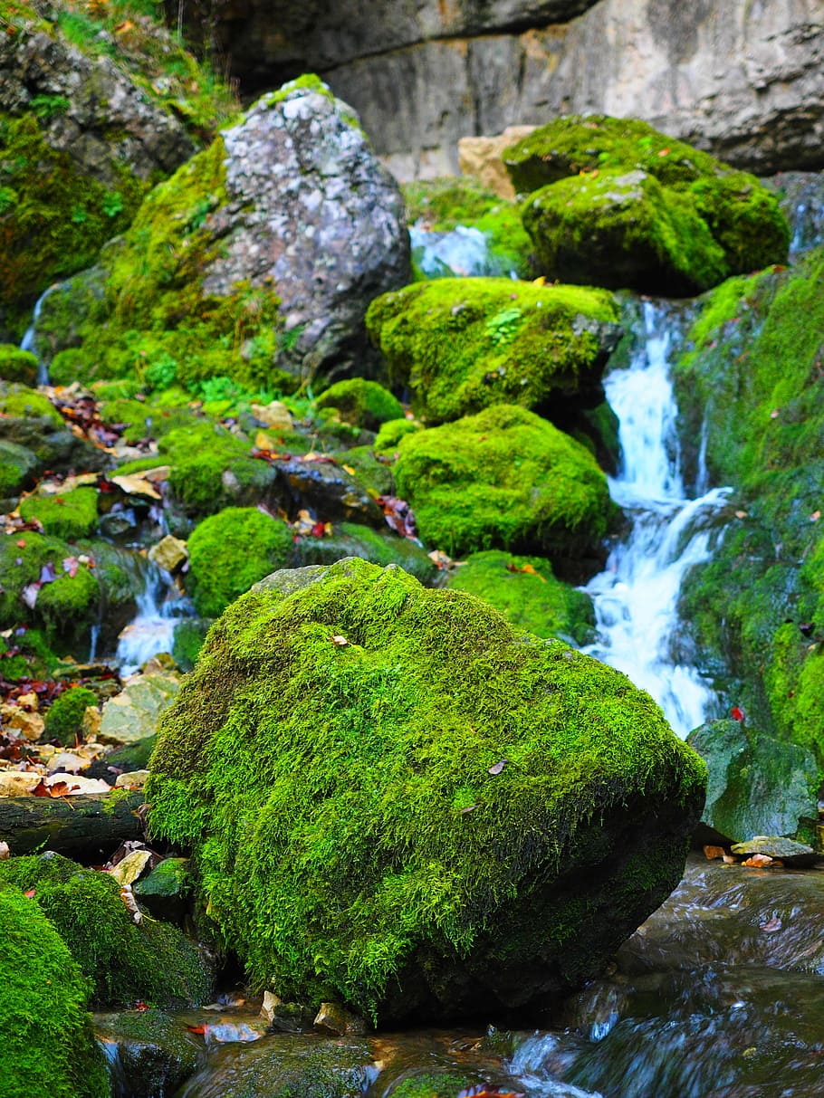 stones with green moss and water during daytime, elsach, river, HD wallpaper
