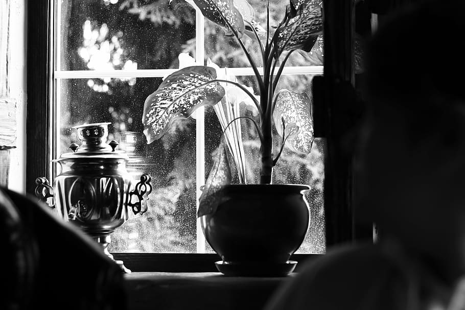 samovar, window, window sill, comfort, house, bw, creative writing HD wallpaper