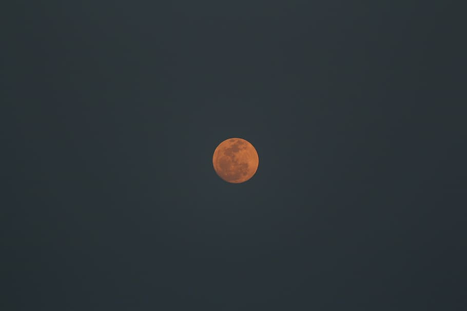 full moon, night, moonlight, sphere, round, space, sky, astronomy HD wallpaper