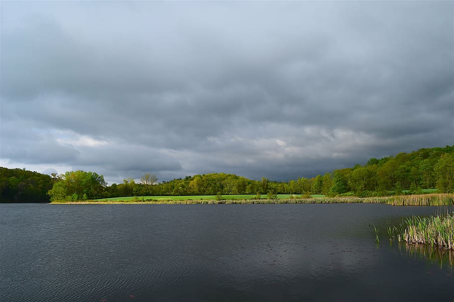 lake, grass, trees, sky, clouds, nature, landscape, water, green HD wallpaper