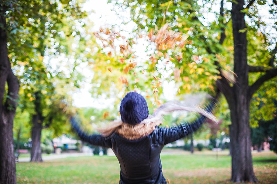 Girl Throwing Autumn Leaves in The Air, bokeh, happy, hat, park, HD wallpaper