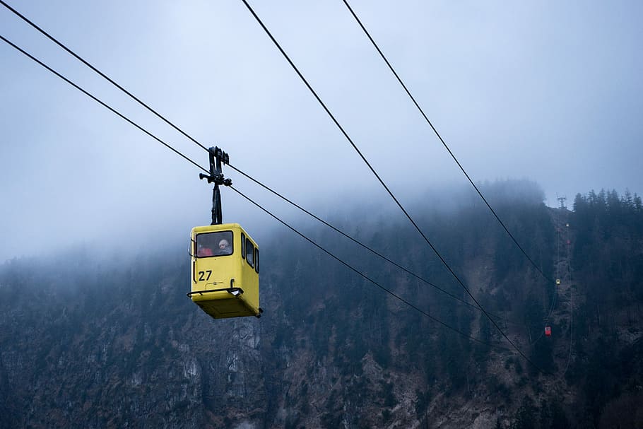 yellow and black cable cart at daytime, tree, woodland, transportation HD wallpaper