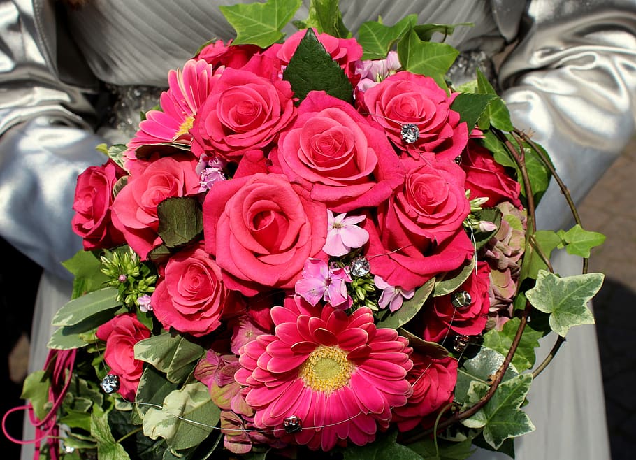 flowers, bouquet, shooting club, düsseldorf, queen, red, flowering plant, HD wallpaper
