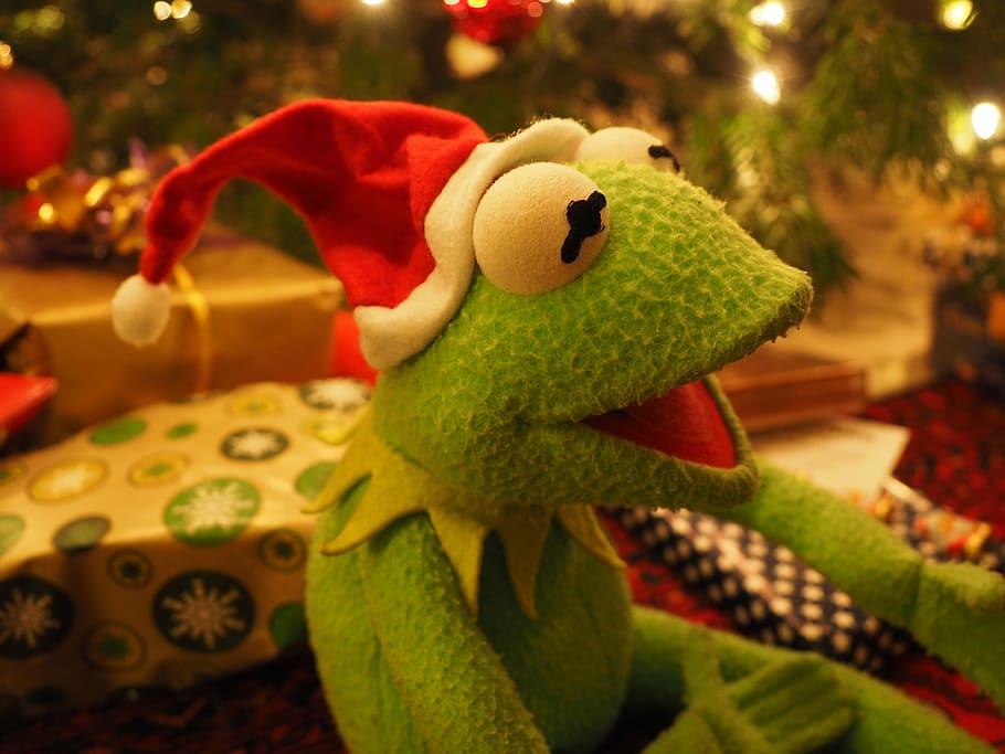 Kermit the Frog plush toy, christmas frog, santa claus, cheerful, HD wallpaper