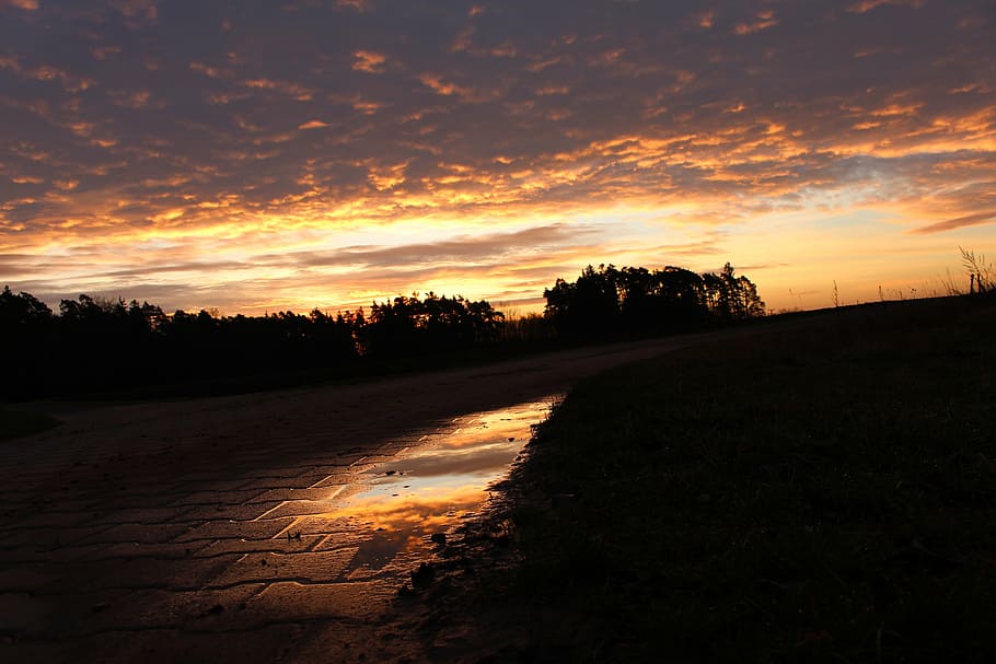 silhouette of trees at sunset, gray, brick, pathway, dusk, grass HD wallpaper