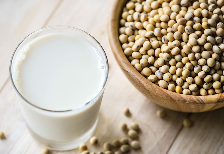 a glass of milk and brown beans, soy, soya, bowl, drink, beverage