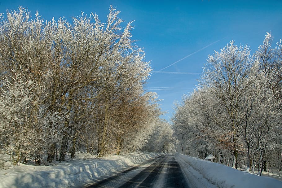 winter, trees, snow, path, mountains, landscape, nature, road HD wallpaper