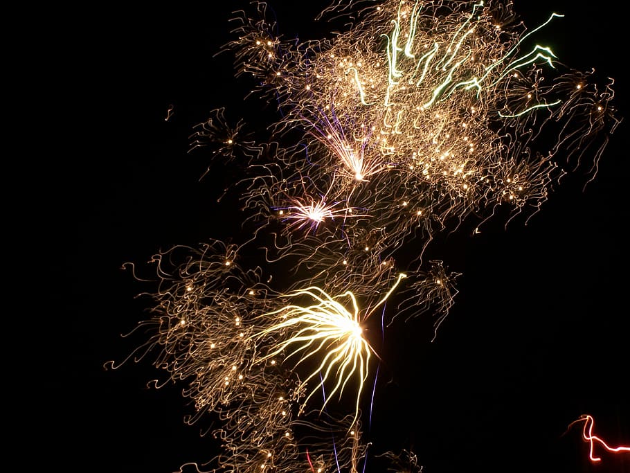 Firework, Night, Light, Dark, Bonfire, thanksgiving, celebrate HD wallpaper