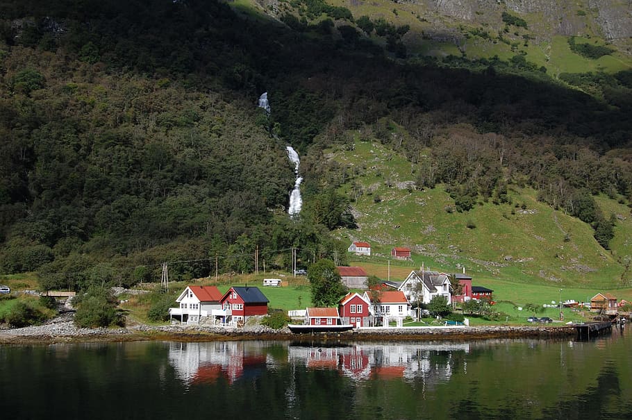 houses beside of body of water, norway, fjord, waterfall, scandinavia