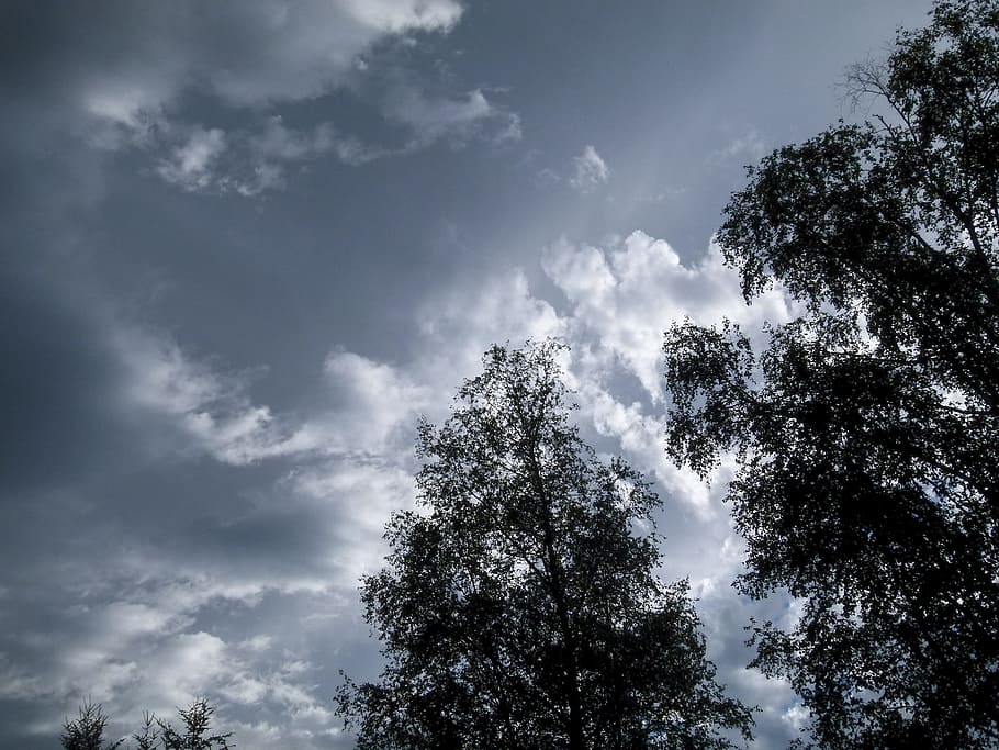Thunderstorm, Weather, Clouds, dark sky, trees, forest, nature HD wallpaper
