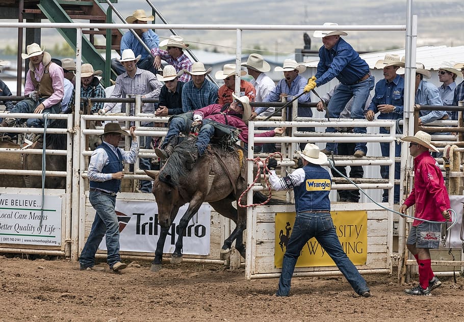 cowboys, bronc rider, rodeo, bronco, horse, man, bucking, action, HD wallpaper