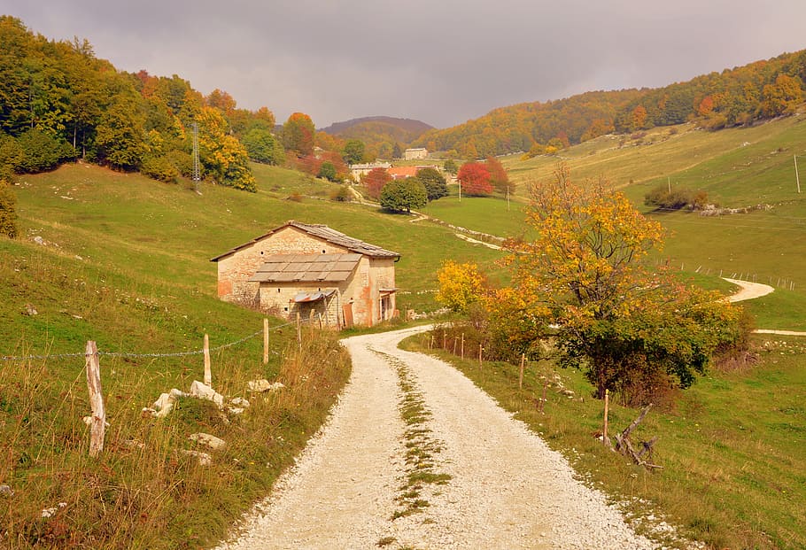 road, mountain, house, trees, forest, nature, landscape, alm HD wallpaper