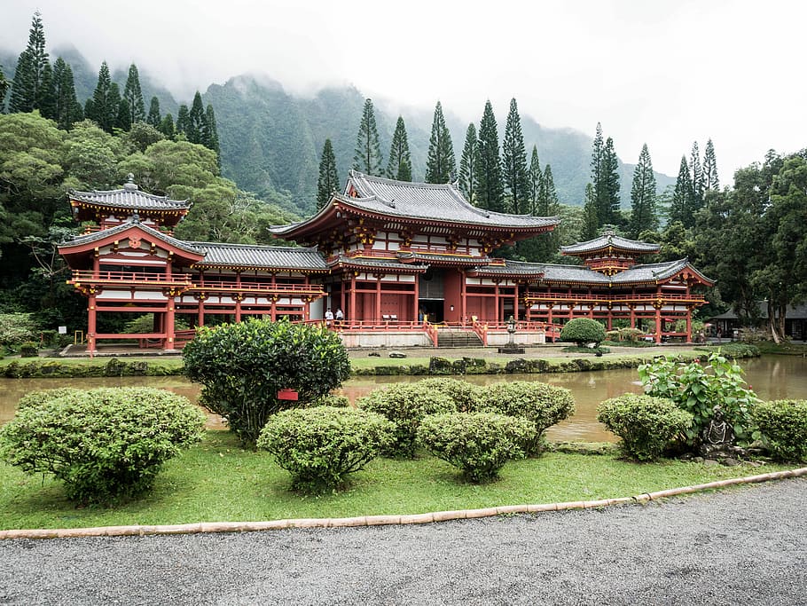 brown and black temple between trees at daytime, red and white concrete house HD wallpaper
