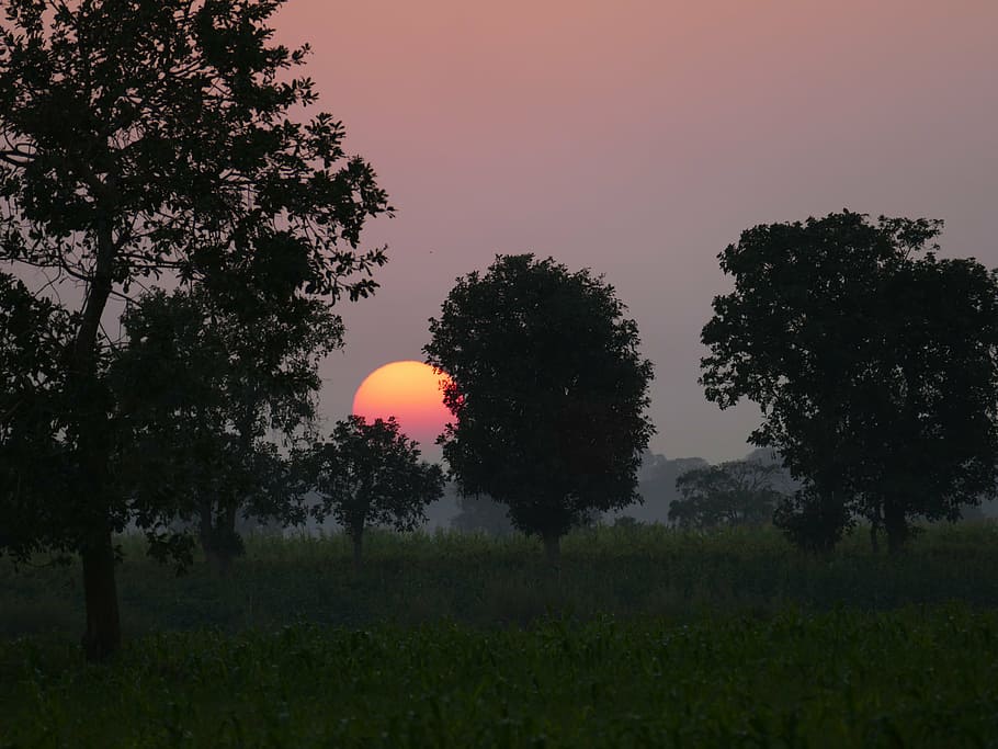 photo of golden hour, sunset, red, sky, afterglow, evening sky HD wallpaper