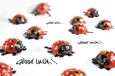 ladybag porcelain decors with Good Luck text overlay, Ladybug HD wallpaper