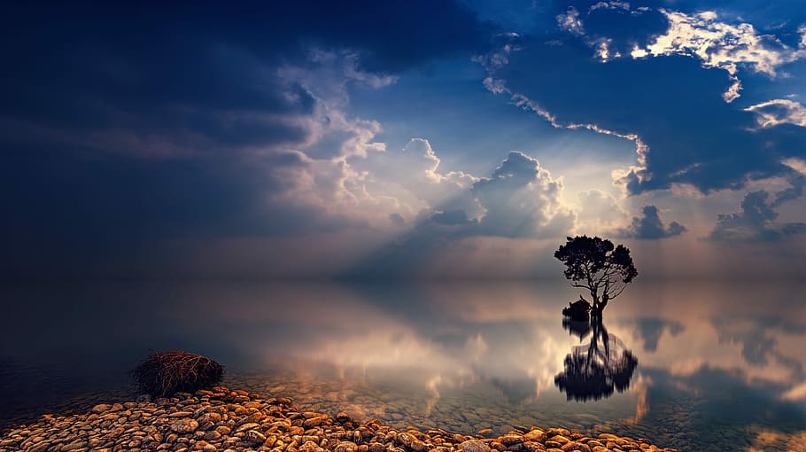 water mirroring the sky, sunset, dawn, tree, sunbeam, dusk HD wallpaper