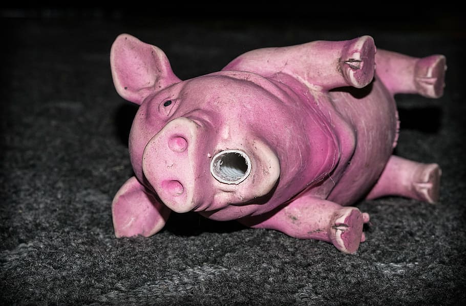 piggy, the pig, toy, rubber, dog, pink, pink color, mammal