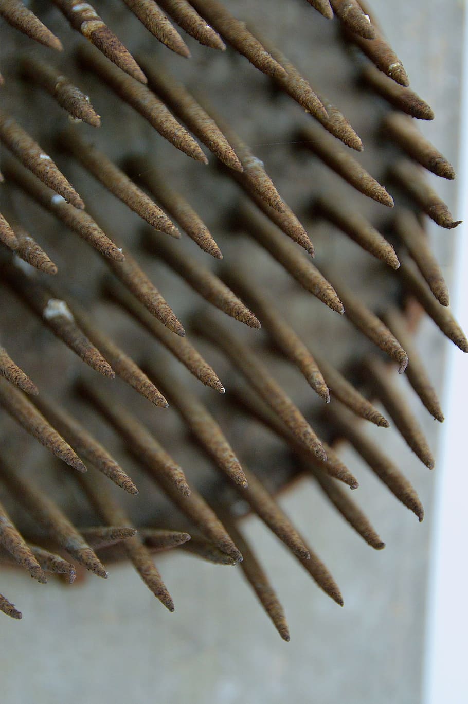 Tool, Region, Brush, Old, Peasants, brown, spiral, no people HD wallpaper