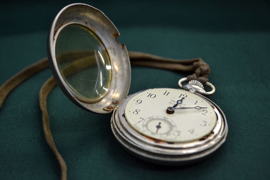 silver-colored pocket watch, time, pocketwatch, white rabbit