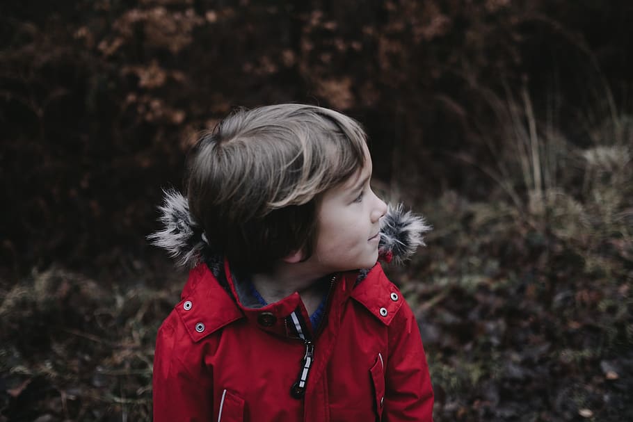 people, boy, child, jacket, red, bokeh, blur, plants, grass HD wallpaper