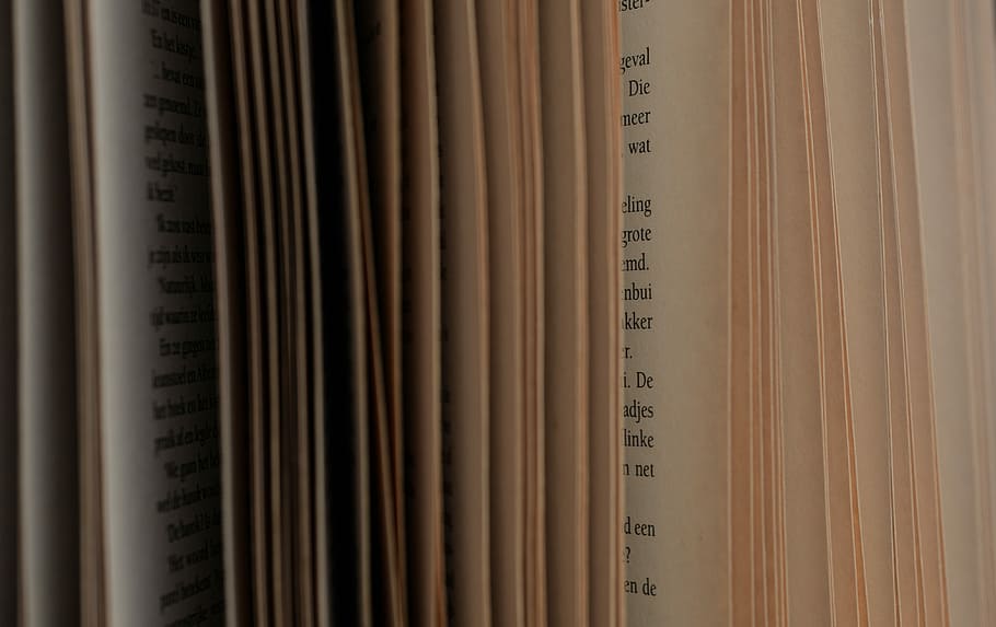 close-up photo of book pages, open, library, paper, open book HD wallpaper