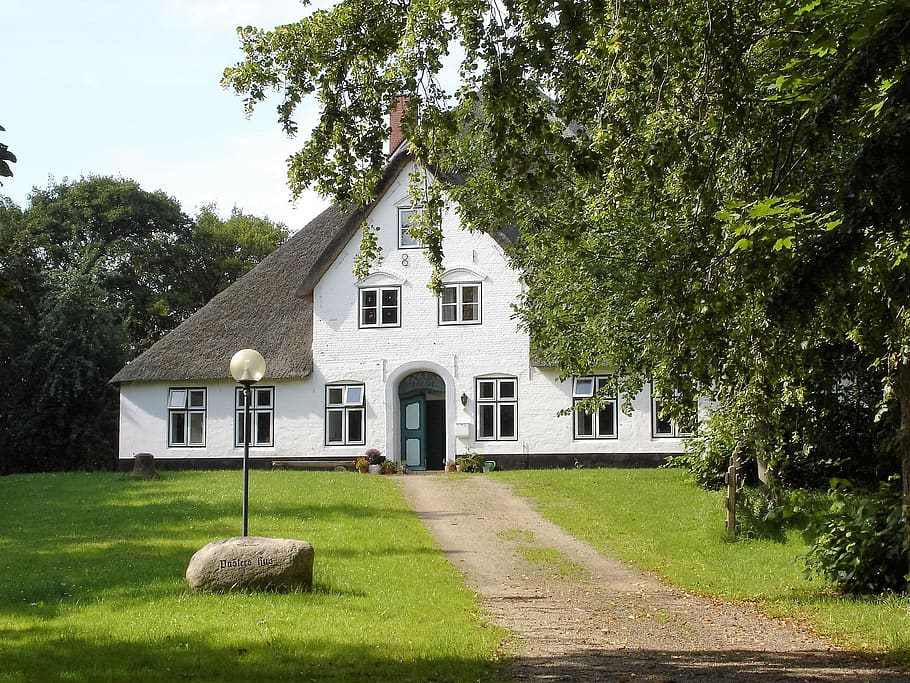 rush, tree, house, architecture, grass, building, garden, thatched cottage HD wallpaper